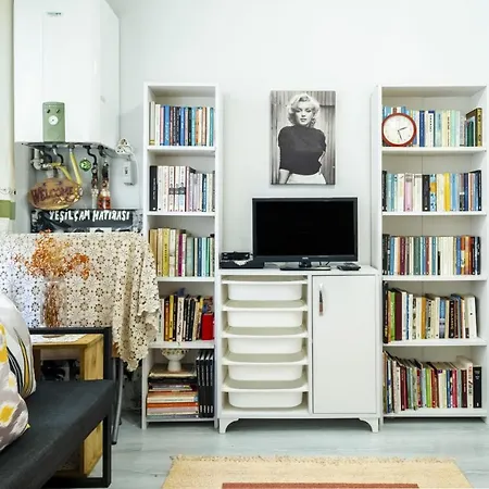 Apartment Lovely Flat Near Taksim Square In Cihangir
