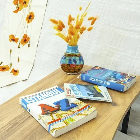 Lovely Flat Near Taksim Square In Cihangir * Istanbul